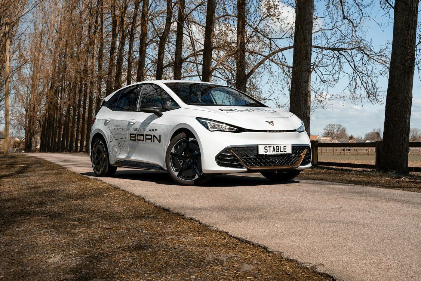 Cupra Born